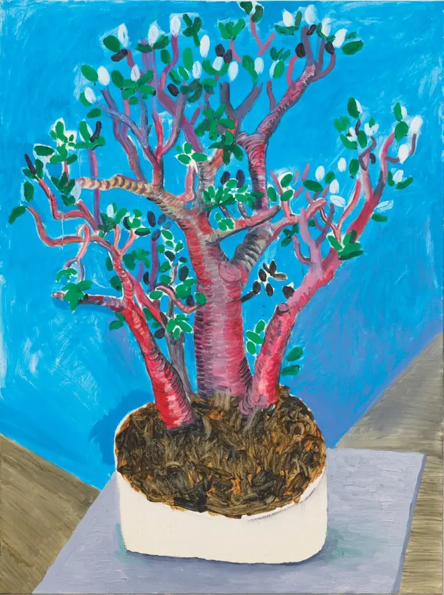 Hockney, Jade Plant, 2014